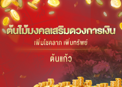 ต้นไม้มงคลเสริมดวงการเงิน เพิ่มโชคลาภ เพิ่มทรัพย์ ต้นแก้ว