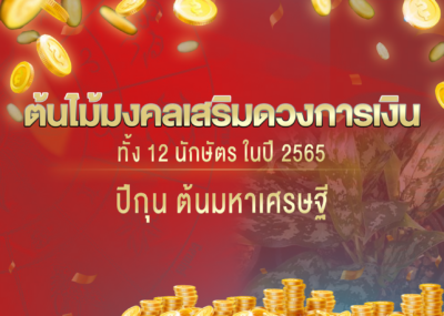 ต้นไม้มงคลเสริมดวงการเงินทั้ง 12 นักษัตร ในปี 2567 ปีกุน