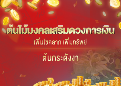 ต้นไม้มงคลเสริมดวงการเงิน เพิ่มโชคลาภ เพิ่มทรัพย์ ต้นกระดังงา