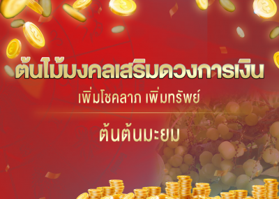 ต้นไม้มงคลเสริมดวงการเงิน เพิ่มโชคลาภ เพิ่มทรัพย์ ต้นมะยม