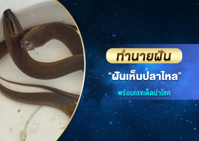 ทำนายฝัน ฝันเห็นปลาไหล พร้อมเลขเด็ดนำโชค