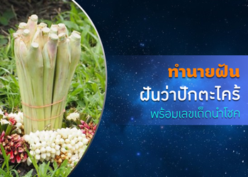 ทำนายฝัน ฝันว่าปักตะไคร้ พร้อมเลขนำโชค